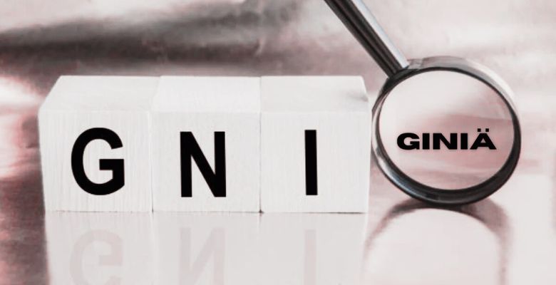 giniä